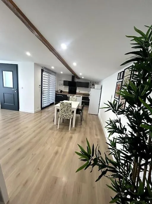 Cocon Chaleureux Au Coeur De Mirepoix Apartment